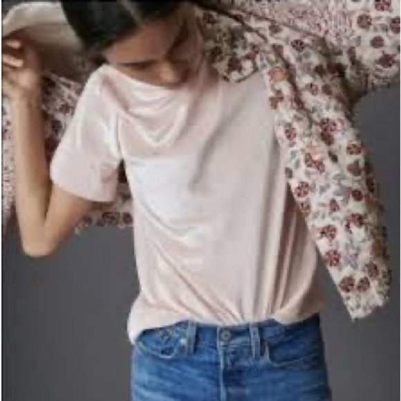 Anthropologie Tops - Anthropologie Krisha velvet short sleeve mockneck pullover top